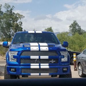 Meet your Posher, Albert